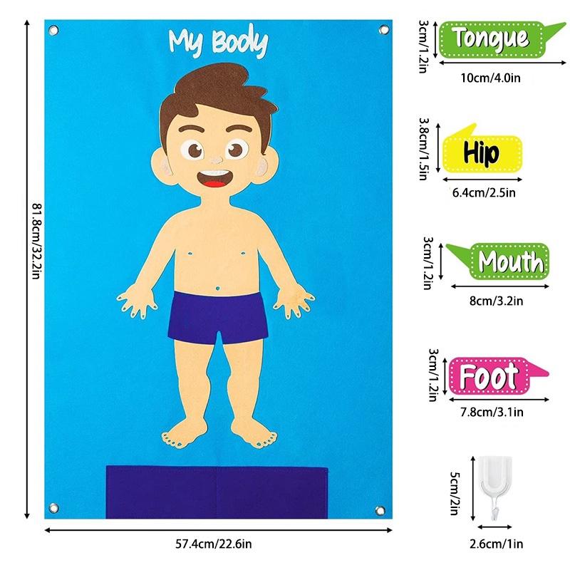 Kids' Felt Body Structure Puzzle Board With Organ Images