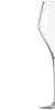 ZWIESEL Finesse Champagne Glass, 298ml, for Sparkling Wine, Dishwasher Safe, 118607 (Officially Imported)