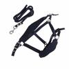 Horse Halter Set Prevent Rubbing Adjustable Horse Training Halter with 2m Horse Leash for Training Daily