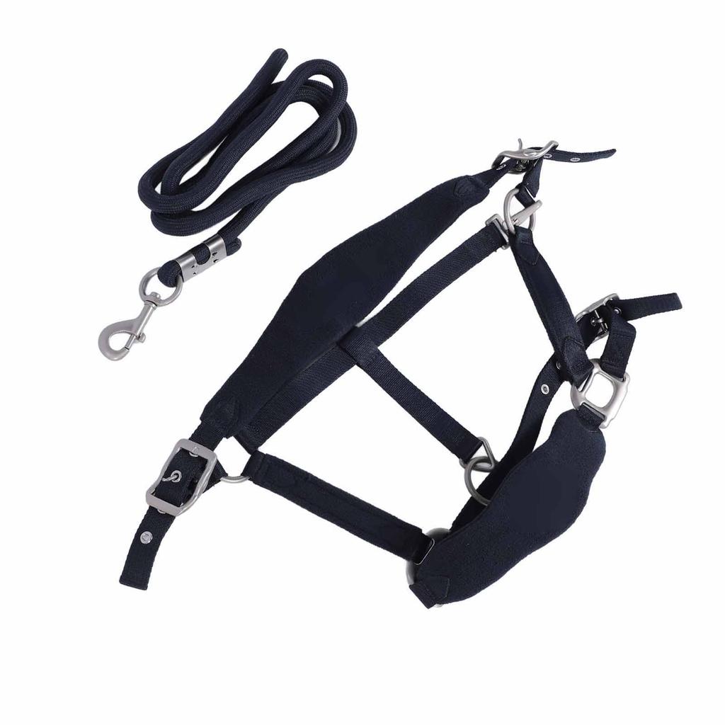 Horse Halter Set Prevent Rubbing Adjustable Horse Training Halter with 2m Horse Leash for Training Daily