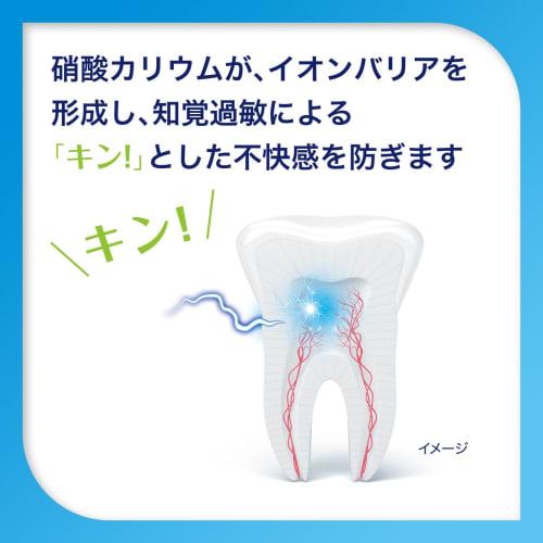 Shumitect Complete One EX Toothpaste for Sensitive Teeth, High Concentration Fluoride <1450ppm>, 1 Tube (x 1)