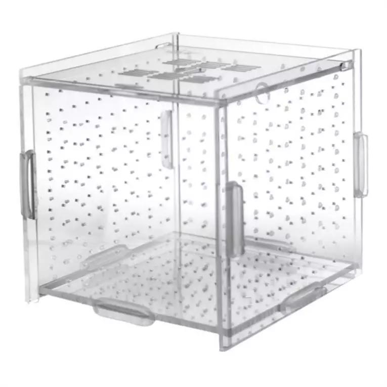Aquarium Isolation Box Transparent Acrylic Fish Tank Small Fry Breeding Box Single Grid Double Grid Aquarium Supplies