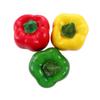 Plastic Home Decor Creative Fake Vegetable Photography Props Artificial Fruit Artificial Pepper