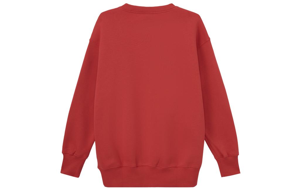 Nike Sportswear Phoenix Fleece Solid Color Crew Neck Fleece Lined Casual Long Sleeved Shirt Sweatshirt Women's DQ5734-657