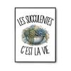 Poster Succulents Are Life | Poster Photo Paper 310 G Pearlescent Finish Size A2 | Wall Decoration Living Room Bedroom