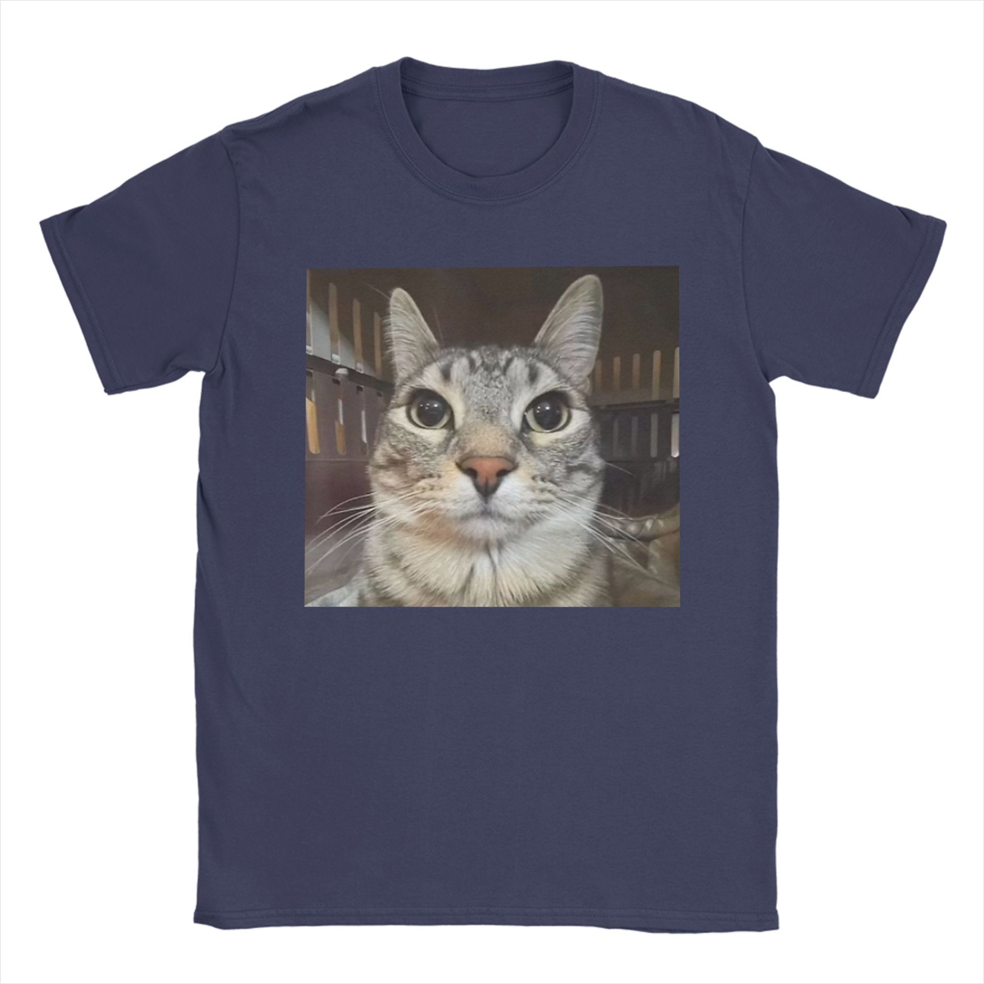 

Silly Staring Cat Meme Mens T Shirts Vintage Tees Short Sleeve Round Collar TShirts Pure Cotton Party Clothes 4XL