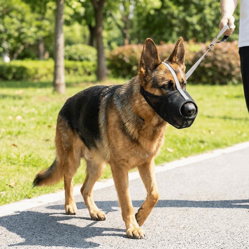 Comfortable Breathable Mesh Dog Muzzle Adjustable Strap Washable Dog Face Cover PVC Puppy Mouth Cover Pet Supplies