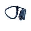 Ignition Coil 5.3.01.0240 LU019139 22012 Fit for Linhai 300cc BUYANG 300cc