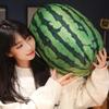 Soft Cotton Watermelon Plush Toy Round Oval Shape Watermelon Pendant Doll  Hug Gift
