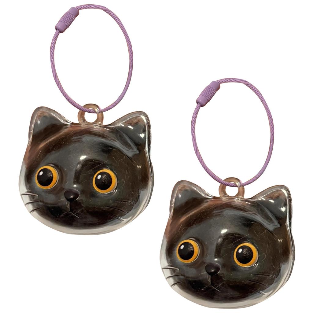 Clear Cat Head Shape Hair Keepsake Cats Furs Storage Box Keychain For Pet Memorial Jewelry Pendant With Metal Loop