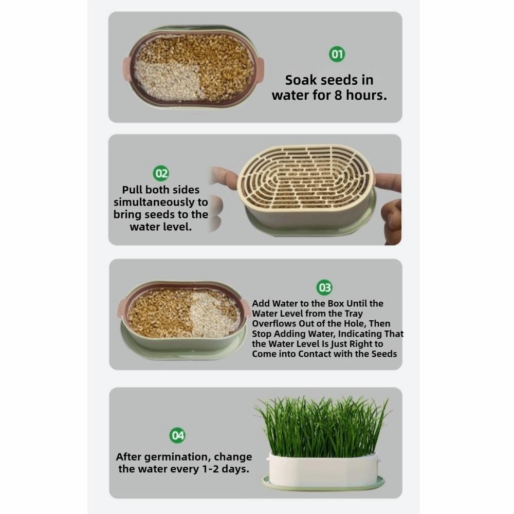 Prevent Overflow Cat Grass Planter Box Removable Nursery Pots Hydroponic Tray  Indoor Gardening