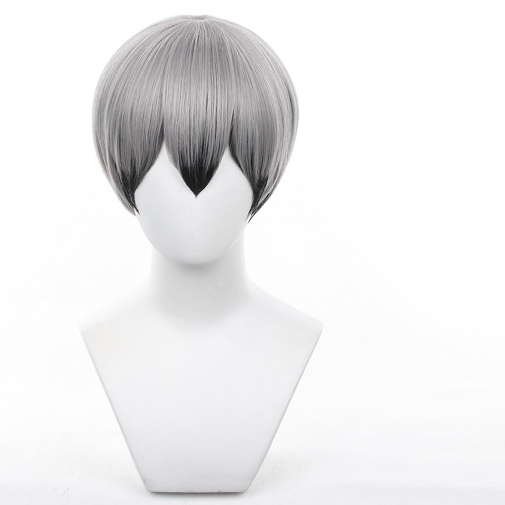 

Eileen Haikyu!! Kita Shinsuke Wig, Heat-Resistant, Anime Wig for Halloween, Christmas, and School Festivals (Includes Net)