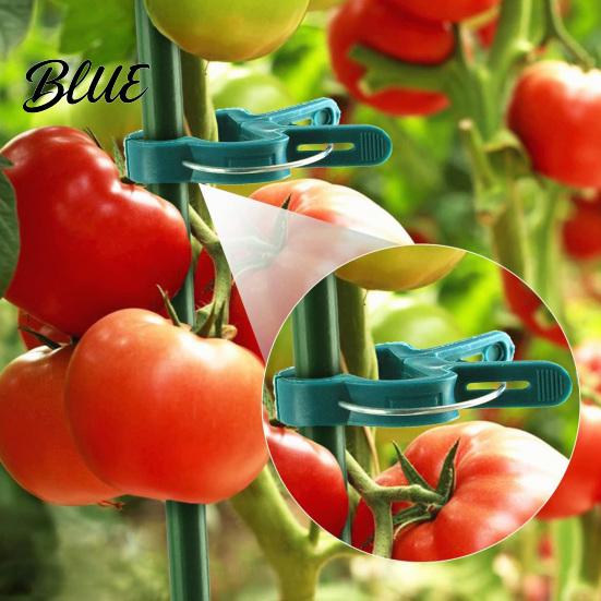 Vegetable Fixing Tools 20Pcs Plant Support Clips Plastic Gentle Clamps Indoor Potted Grips Tomato Cage Clips for Climbing Vines Flowers Stems