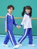 Shenzhen School Uniform Set: Quick-Dry, Antibacterial, Odor-Resistant Shorts, Pants, and T-Shirt