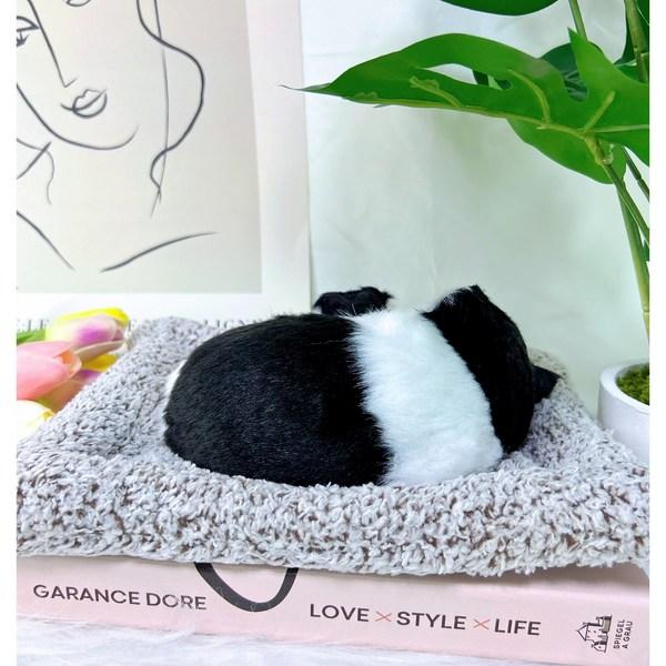 Wonpungrong car charcoal-eating interior goods cat doll, milk cat, 1 piece,Korean car acc