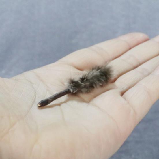 Lindo espanador de penas ecológico em escala 1/12, modelo mini brinquedo para casa de bonecas