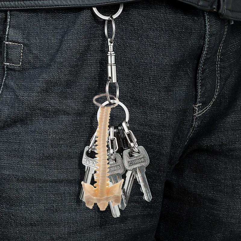Detailed Human Spine Skeleton Keychain Anatomical Model Key Chain for Teaching and Ornamentation Doctor Accessories