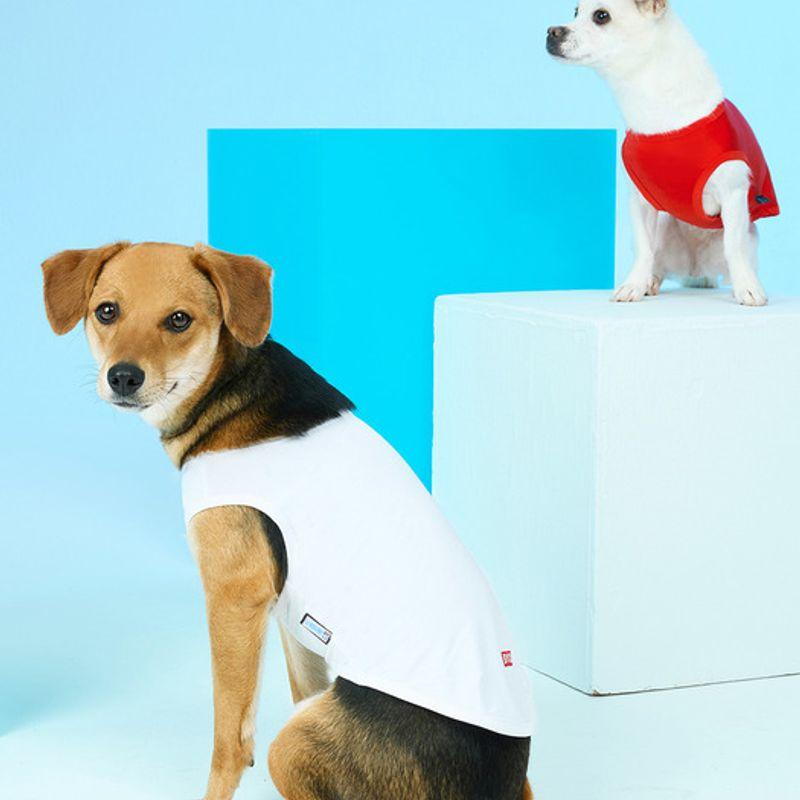 BYC Gariyas Body Dry Cool Running