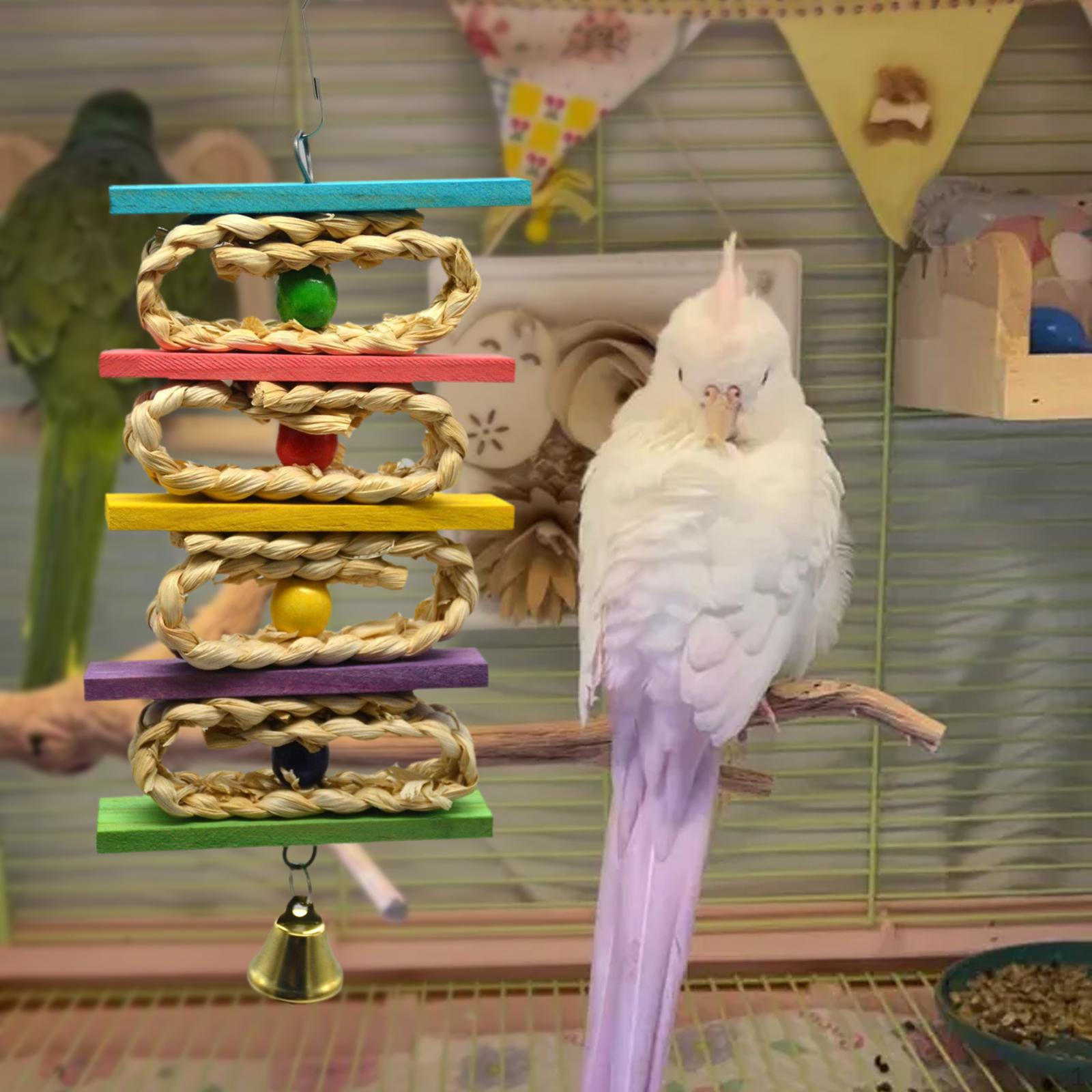 

Pet Bird Bites Climb Toy Hanging Swing Funny Cage Accessories for Conures Budgie Macaws Budgies