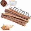 15 Stück Natürliches Matatabi Katzen Katzenminze Spielzeug Kätzchen Molaren Kauknochen Haustier Zahnreinigung Katzen Leckerli Spielzeug Actinidia Silberwein Haustierprodukte