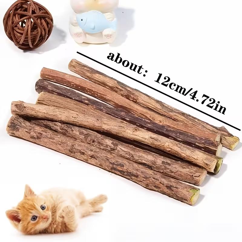 15 Stück Natürliches Matatabi Katzen Katzenminze Spielzeug Kätzchen Molaren Kauknochen Haustier Zahnreinigung Katzen Leckerli Spielzeug Actinidia Silberwein Haustierprodukte