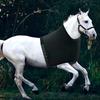 Horse Shoulder Guard High Elastic Spandex Fabric Horse Chest Saver Protector Horse Vest Horse Protective Vest
