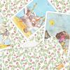 Skurriles Vogel-Tarot Deck 80 handgezeichnete Papageien-Tarotkarten Einzigartiges Geschenk für Vogelliebhaber 350 g/m² Doppelgeprägter Karton 10x6,5cm