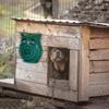 Dispositivo di Controllo per Cani Con Altoparlanti Dispositivo Ricaricabile Più Potente Adatto per Esterni Impermeabile e per Nosework Accessori per Cani