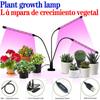 USB LED Plant Grow Light Indoor Garden 10 Dimmable Levels Grow Light Full Spectrum Timer Setting Hydroponic Greenhouse 3H/9H/12H