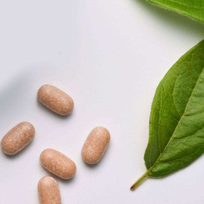 Metagreen Slim Up Nachfüllpackung 60-Tage-Vorrat + 5 Tage