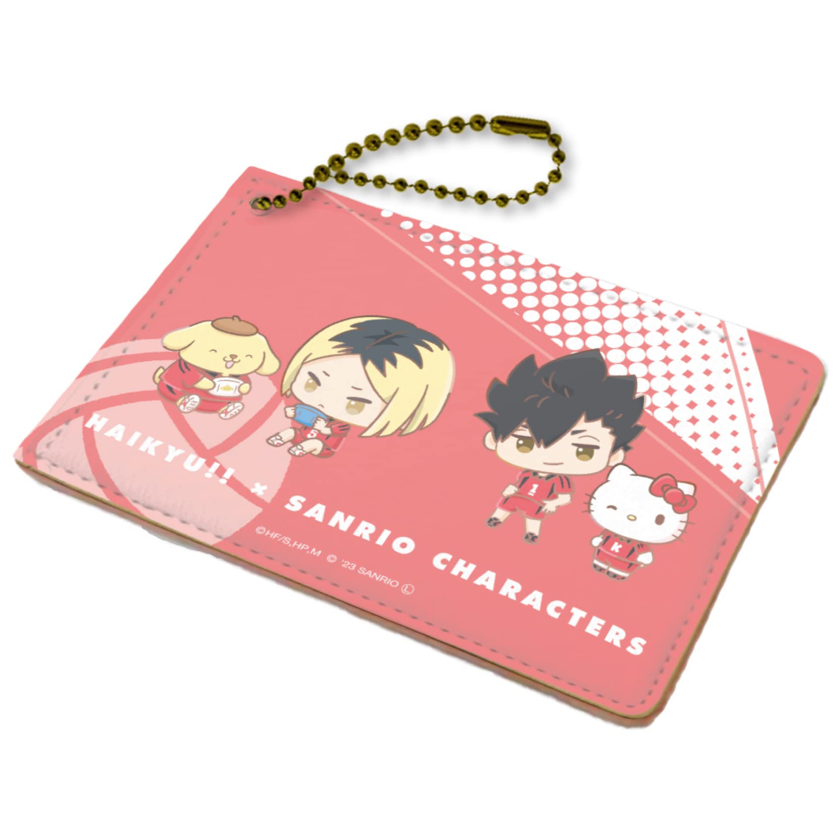 

A3 x Sanrio Characters 03 C Pattern Character Chara Pass H101 x W70mm Synthetic Leather Haikyu!! [Mini Illustration] PSS-HIKS-03
