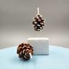 New Creative Christmas Pine Cone Styling Christmas Candle Christmas Party Cake Decoration Birthday Candle