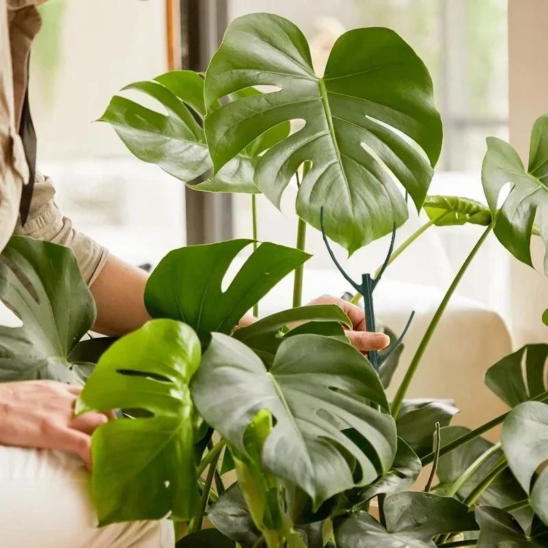 3/24PCS Twig Plant Support Brackets Stackable Green Plants Growth Stakes Detachable Monstera Climbing Stakes for Indoor Outdoor