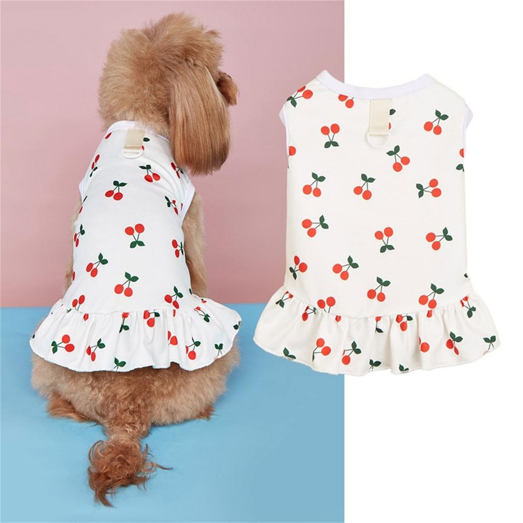 Cute Print Skirt for Small Dogs Sweet Cats Dogs Dress Summer Spring Small Dogs Traction Rings Comfortable Dogs Skirt