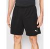 Puma Teamrise Shorts