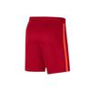 Nike Soccer Bottoms Men's Red Moderate Sports Shorts DB2557-687