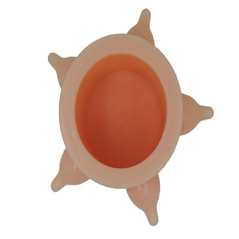 Haustier Fütterungsset: Silikon-Tiernuckel für Kätzchen & Welpen