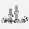 316L Stainless Steel Screw Set
