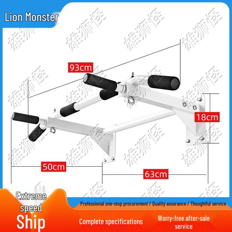 Wall-Mounted Pull-Up Bar and Dip Station