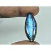 28Cts. Natural Blue Flash Labradorite Marquise Cabochon Gemstone 13X33X07MM B-309