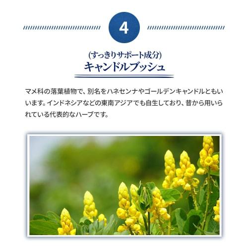 MDC Metabolic Yeast X Enzyme Diet Drink (300ml X 3 Bottles / Grape Flavor) Fermented Sugar-Free, Made In Japan (Yeast Peptide/Candle Bush) Fasting Rep