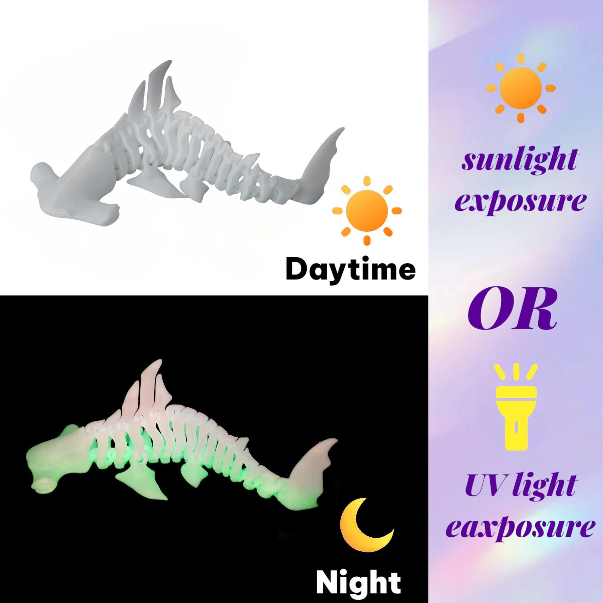 Luminous 3D Hammer Shark Skeleton Model Creative Toy Ornament Luminous Rainbow Version