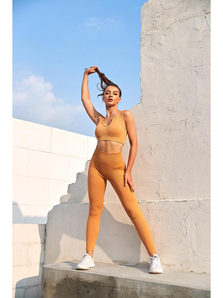 Nylon Seamless High Elastic Sports Set: U-Neck Top & Yoga Pants