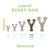 Benebone Dog Chew Toy (Chicken, Jumbo)