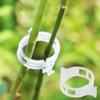 10Pcs Plant Clip/seedling Clip/plastic Vine Clip/branch Clip/hanging Vine Clip/vine Clip/vine Fixing Clip