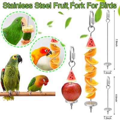 Bird Food Holder Tainless Steel Parrot Fruit Vegetable Stick Holder  Skewer