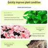 General-Purpose Hydroponic Nutrient Solution for Indoor Flowers and Green Plants