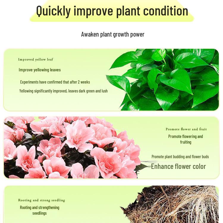 General-Purpose Hydroponic Nutrient Solution for Indoor Flowers and Green Plants