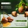 SADOER Shampooing Nettoyant Nourrissant Lisse Shampooing à l'Huile d'Argan au Beurre de Karité