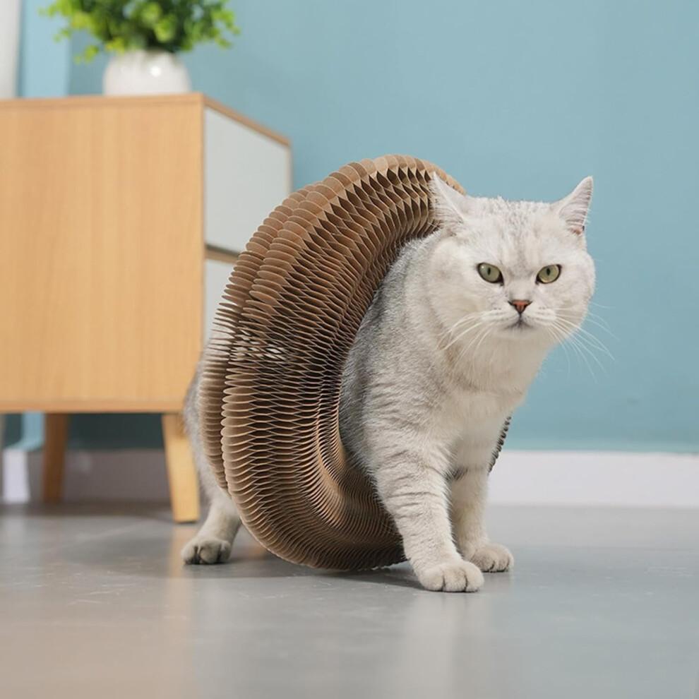 Kitty Curls Cat Toy Kurlz, Interactive Scratch Pad, Foldable Accordion,Recyclable Scratcher with Ball (Pink)
